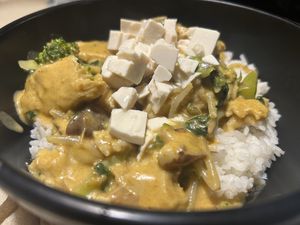 VG Karee & Tofu  at Udon  in Girona