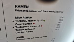 Vegan option at Udon  in Girona