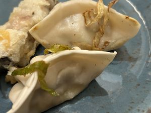 Gyoza  at Udon  in Girona