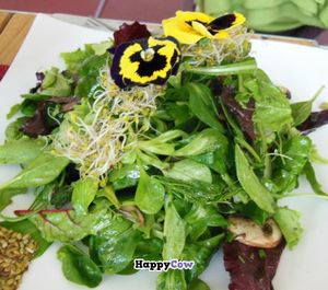 Spring salad at RohKostlich BistRoh in Speyer