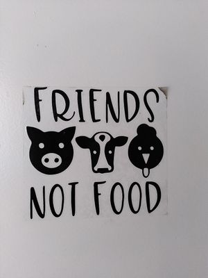 Friends not food sticker at the entrance says it all :) at Apple & Eve - Vegan & tierisch lecker in Hamburg