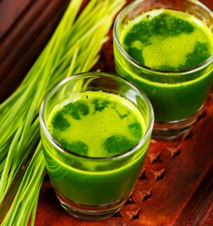  at Refuel Health Cafe in Phuket