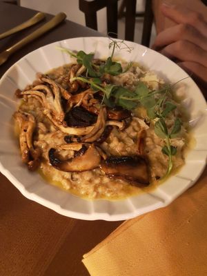 Mushroom Cevedotta at Casa Vegetariana in Porto