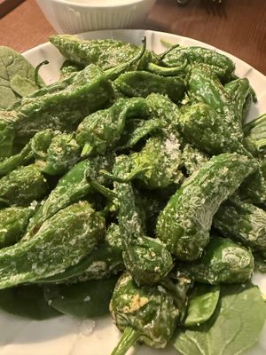 Padrón   at Casa Vegetariana in Porto