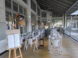 Outside at Casa Vegetariana in Porto