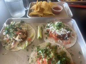 3 different tacos with jackfruit and included chips & salsa   at Taco Labs Boca in Boca Raton