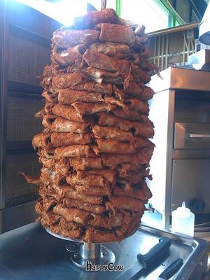 vegan doner kebab at De Vegetarische Snackbar in The Hague