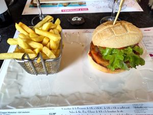 Vegan burger and fries at Brasserie du Château in Castelnaud-la-chapelle