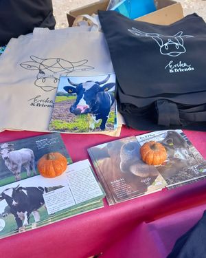 merchandise & infomaterial at Erika and Friends in Wegberg