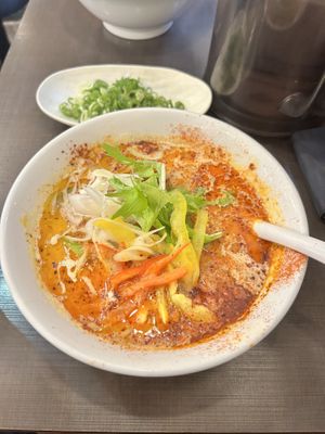 Spicy vegan ramen  at Menya Takeichi in Tokyo