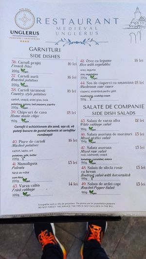  at Restaurant Medieval Unglerus in Biertan