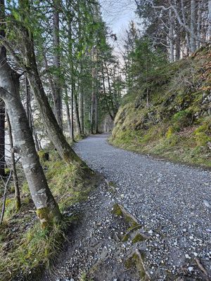  at Dreimäderlhaus - Boutique Hotel am Weissensee in Fuessen