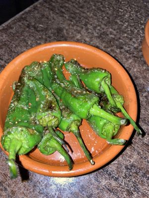 Padrón Peppers   at BAHA @ The Cuban Embassy in Birmingham