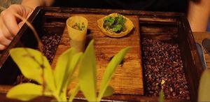  vegan appetisers  at Bowleys At The Plough in Trottiscliffe