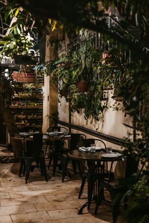  at Meshek Barzilay in Tel Aviv