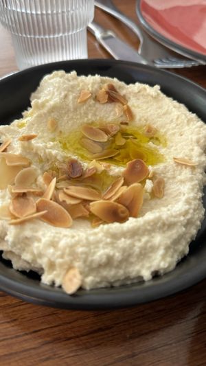 סקורדליה  at Meshek Barzilay in Tel Aviv