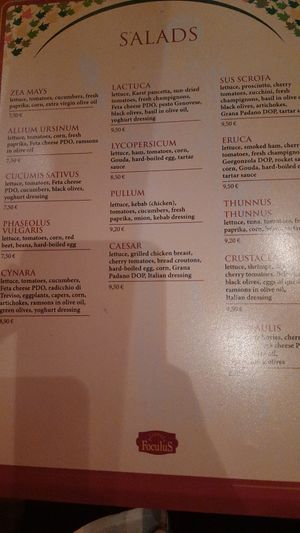  at Pizzeria Foculus in Ljubljana