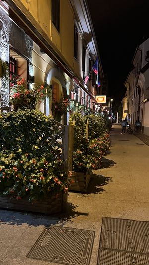 Location   at Pizzeria Foculus in Ljubljana