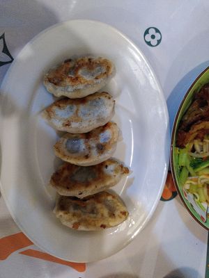 Fried gyozas at Surn Yi Vegetarian Restaurant in Phnom Penh