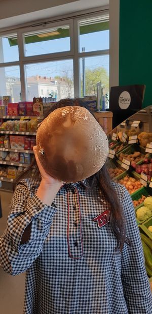 A portobello Mushroom the size of a person's face amongst the fresh fruit and veg at Veganz in Berlin