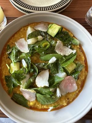 Carrot Harrisa Risotto   at Feral in Portland