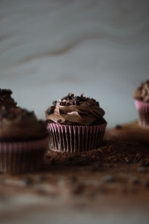   at Planted Planet in Melide