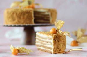   at Planted Planet in Melide