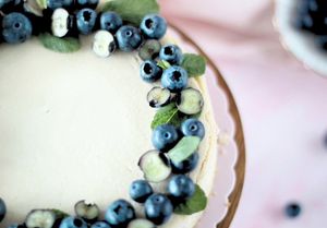   at Planted Planet in Melide