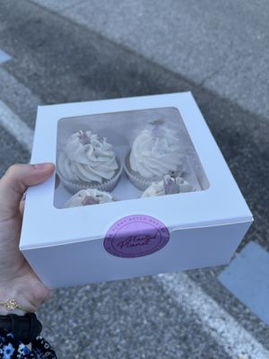   at Planted Planet in Melide