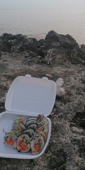  at Vegashi Vegan Fusion in Ljubljana