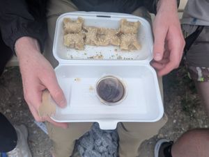 Dumplings at Vegashi Vegan Fusion in Ljubljana