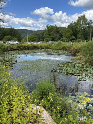   at Bashakill Vineyards in Wurtsboro