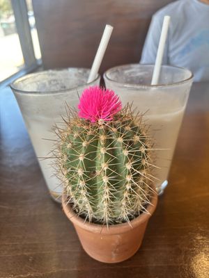 Fresh Horchatas  at PlanTita's Kitchen in Long Beach