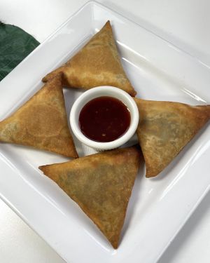 Yummy Sambusa 💚  at Lulu EthioVegan in Minneapolis
