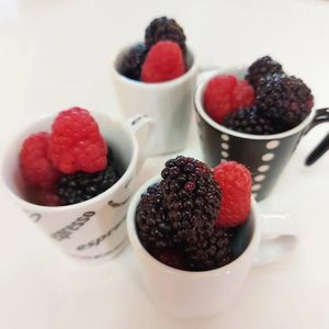  at Church Stay Alberta in Mannville