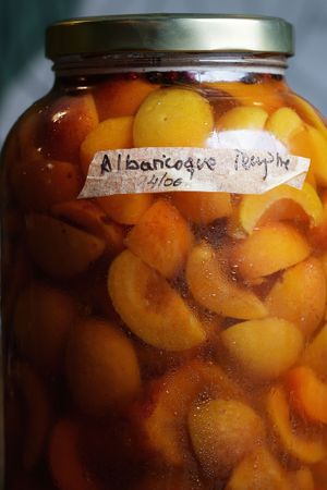 Fermented apricots at Rasoterra in Barcelona