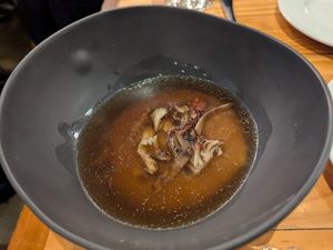  at Rasoterra in Barcelona