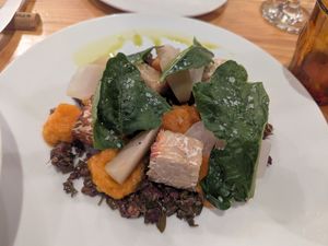  at Rasoterra in Barcelona