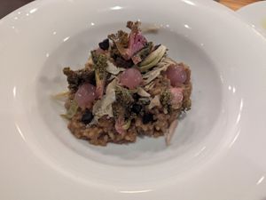  at Rasoterra in Barcelona