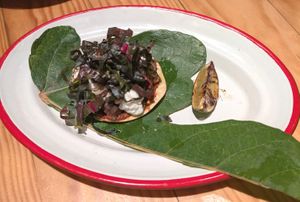  at Rasoterra in Barcelona