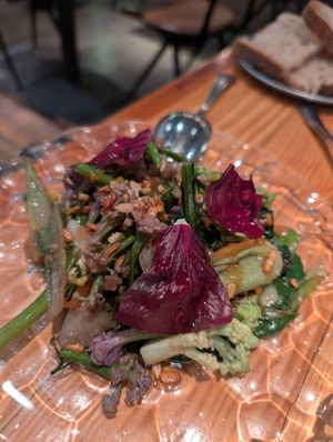  at Rasoterra in Barcelona