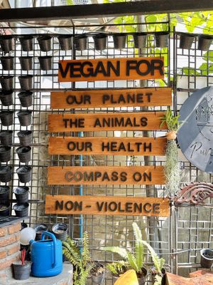 💚  at Pure Vegan Heaven - Old Town in Chiang Mai