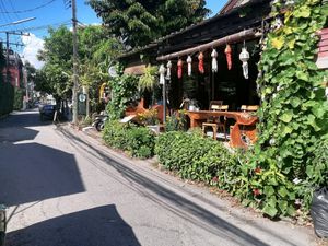 Lovely at Pure Vegan Heaven - Old Town in Chiang Mai