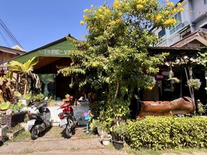 Exterior of cafe   at Pure Vegan Heaven - Old Town in Chiang Mai