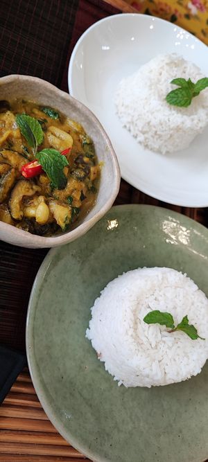 Mushroom Sensation at Cambodhi in Kampot