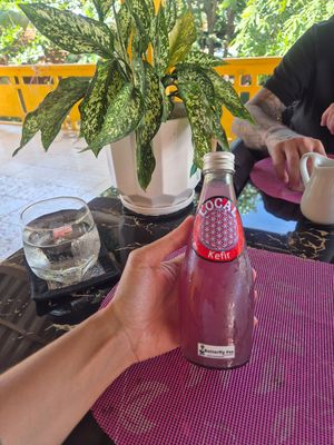 Kefir at Cambodhi in Kampot