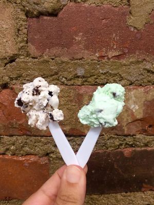 Cookies and Cream or Mint Chip, both vegan. at Tremont Scoops in Cleveland