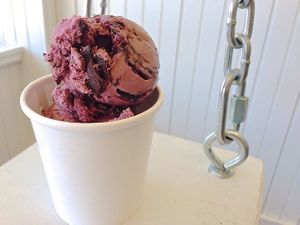 Chocolate Rasberry Icecream at Tremont Scoops in Cleveland