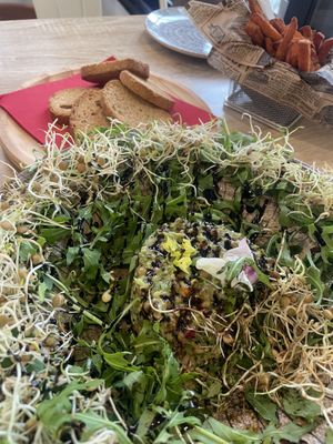   at Jungle Bistro in Ibiza