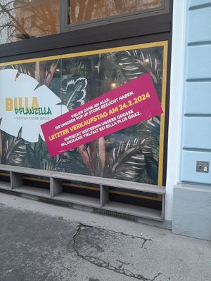  at BILLA Pflanzilla in Graz